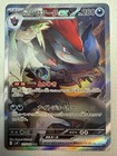 N's Zoroark ex