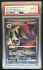 N's Zoroark ex