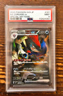 N's Zoroark ex