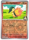 Ethan's Cyndaquil