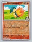 Ethan's Cyndaquil