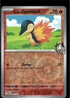 Ethan's Cyndaquil