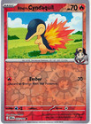 Ethan's Cyndaquil