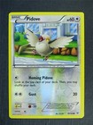 Pidove