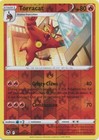 Torracat