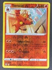 Torracat