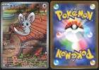Minccino