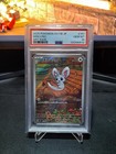 Minccino