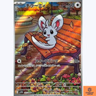 Minccino