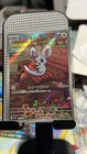 Minccino