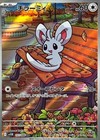 Minccino