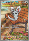 Minccino