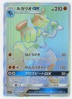 Lucario