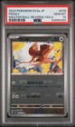 Pidgey