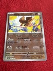 Pidgey