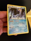 Aurorus