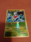 Shaymin