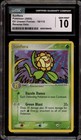 Sunflora