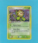 Sunflora