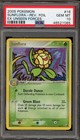 Sunflora
