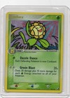 Sunflora