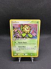 Sunflora