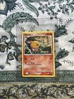 Torchic