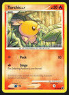 Torchic
