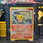 Torchic