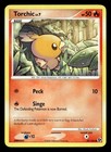 Torchic