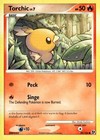 Torchic