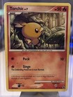 Torchic