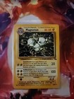 Magneton