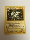 Magneton