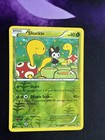 Shuckle