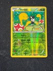 Shuckle