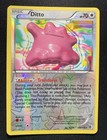 Ditto