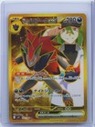 N's Zoroark ex