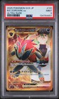 N's Zoroark ex