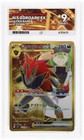 N's Zoroark ex