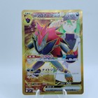 N's Zoroark ex