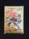 N's Zoroark ex