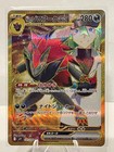N's Zoroark ex