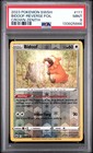 Bidoof