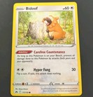 Bidoof