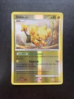 Shinx