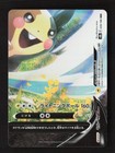 Morpeko V-UNION