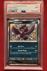Murkrow
