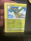 Tropius