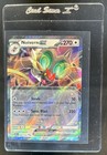 Noivern ex